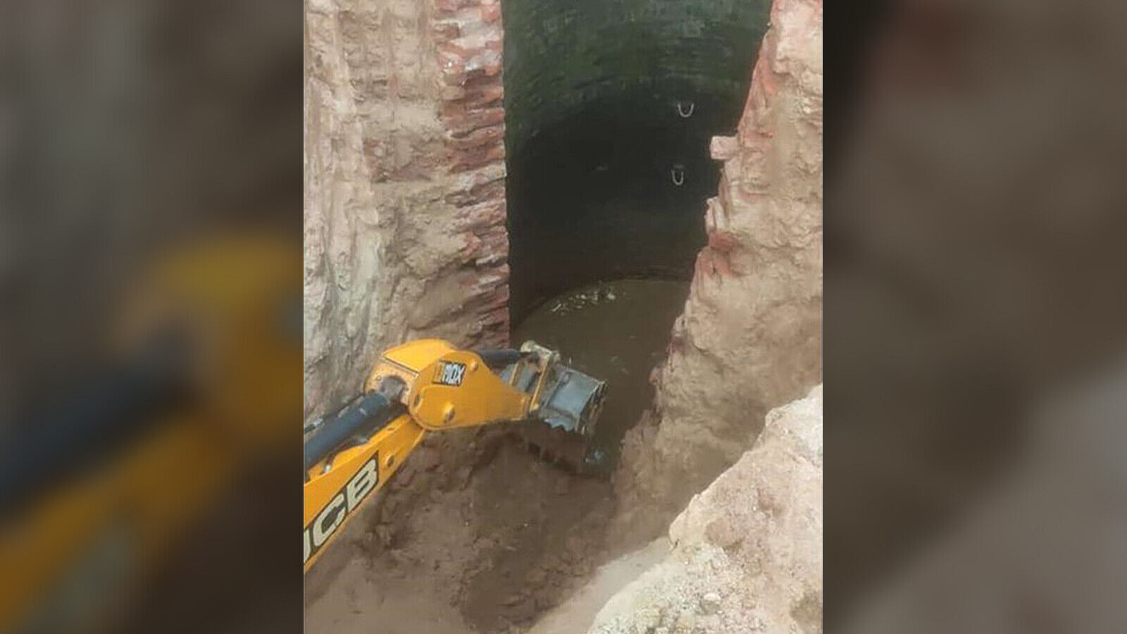 Baby elephant rescued after falling into village well 30 feet deep
